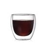 SX Double Wall Insulated Glass Cup