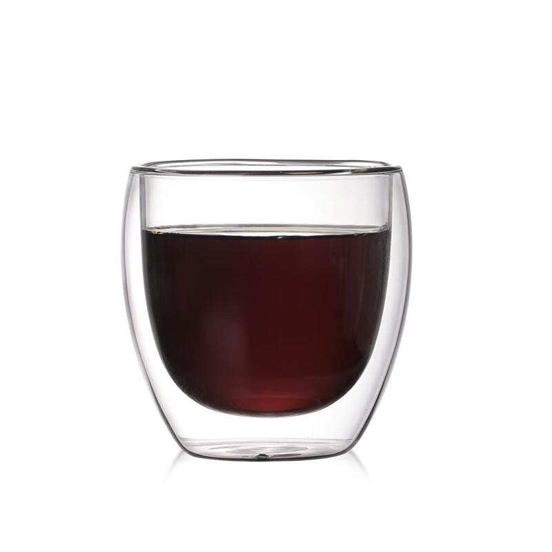 SX Double Wall Insulated Glass Cup