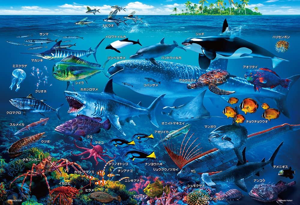 Beverly in Beverly Jigsaw Learn Sea x 38 (BEVERLY) [Made Japan] 100-Piece Puzzle Creatures! (26 cm) 100-029