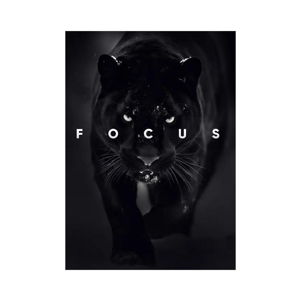 Citazioni Motivazionali Conquista Focus Pittura su Tela Leone Tigre Leopardo Animali Feroci Poster Stampa Muro Soggiorno Decorazioni per la Casa