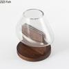 Creative Transparent Glass Vase Solid Wood Base Plant Pots Table Decoration Flower Arrangement Floral Vases Room Aesthetic Decor