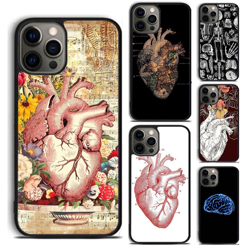 Human Heart Anatomy Phone Case For For iPhone 17 Air 16 15 11 12 13 14 Pro Ma Plus coque