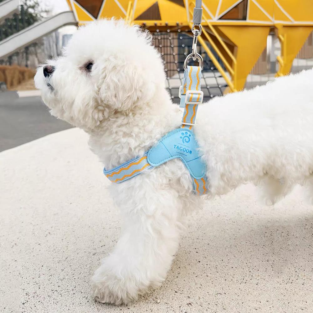 Spring Summer Cat Puppy Harness Wear Simple Mesh Breathable Outdoor Pet Dog Walking Supplies Chihuahua Corgi Saddle Chest Straps