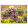 Canvas Print Garlic Plants Purple