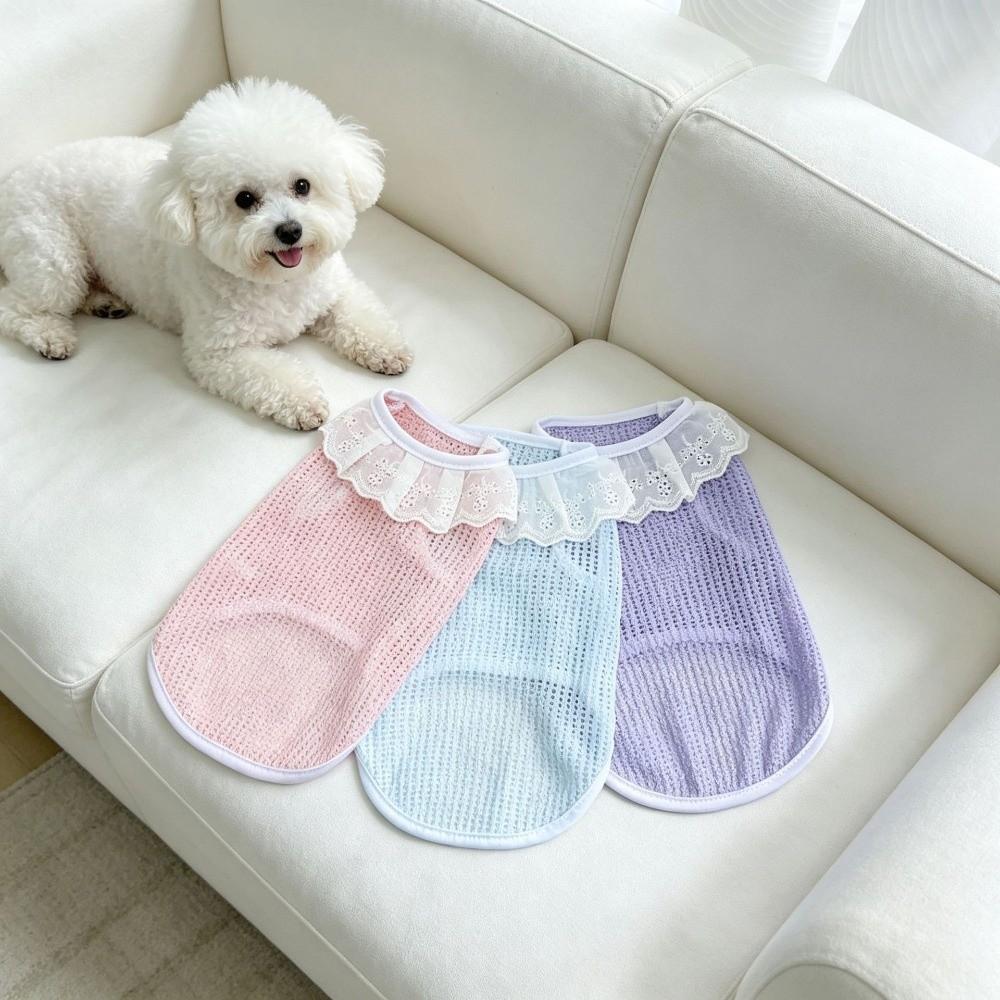 Thin Breathable Mesh Dog Vest Round Neck Dog Cooling Vest Cooling Pet Vest  Photography