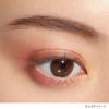 LUNASOL Eye Coloration N 11 [Eyeshadow] Savage Rose
