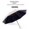 Paradise Umbrella Lightweight Floral UV/Rain Umbrella