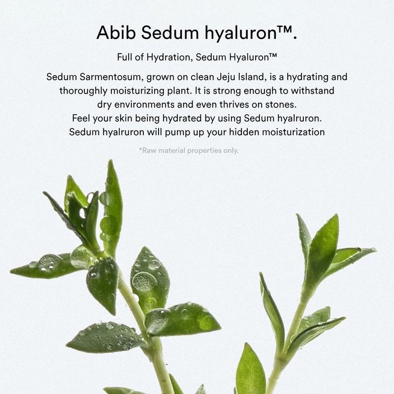 Abib - Sedum Hyaluron Crème Hydrating Pot