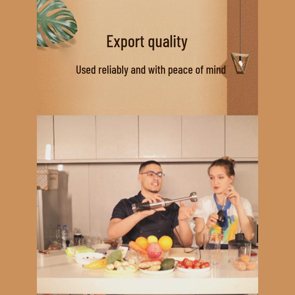 German Handheld Immersion Blender Mixer, Homogenizer for Baking, Glaze, Mousse, Commercial Multifunctional Basque.