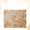 ASAKA Rice Ferment Amino Acid Shampoo & Body Wash Set