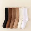 Autumn and Winter Socks Vertical Stripes Solid Color Mid Tube Socks Versatile Boneless Pile Socks Student Sports Long Socks