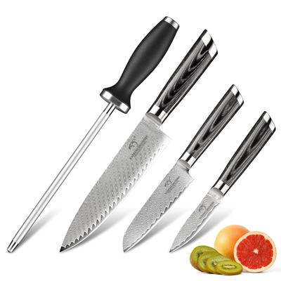 Knife Set Nanfang Brothers VG10 Steel Core Damascus Steel Set Small Santoku Petty Knife with Sharpening Good Cutting Sharply Cuts Cooking for Home