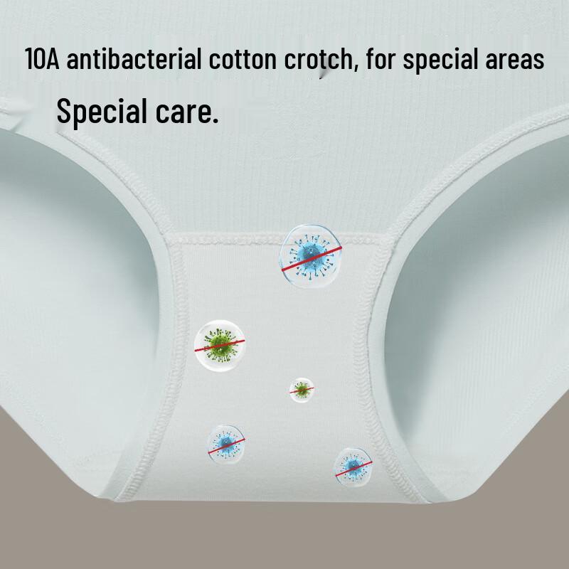 MiiOW Women's Modal Antibacterial Briefs 4-Pack