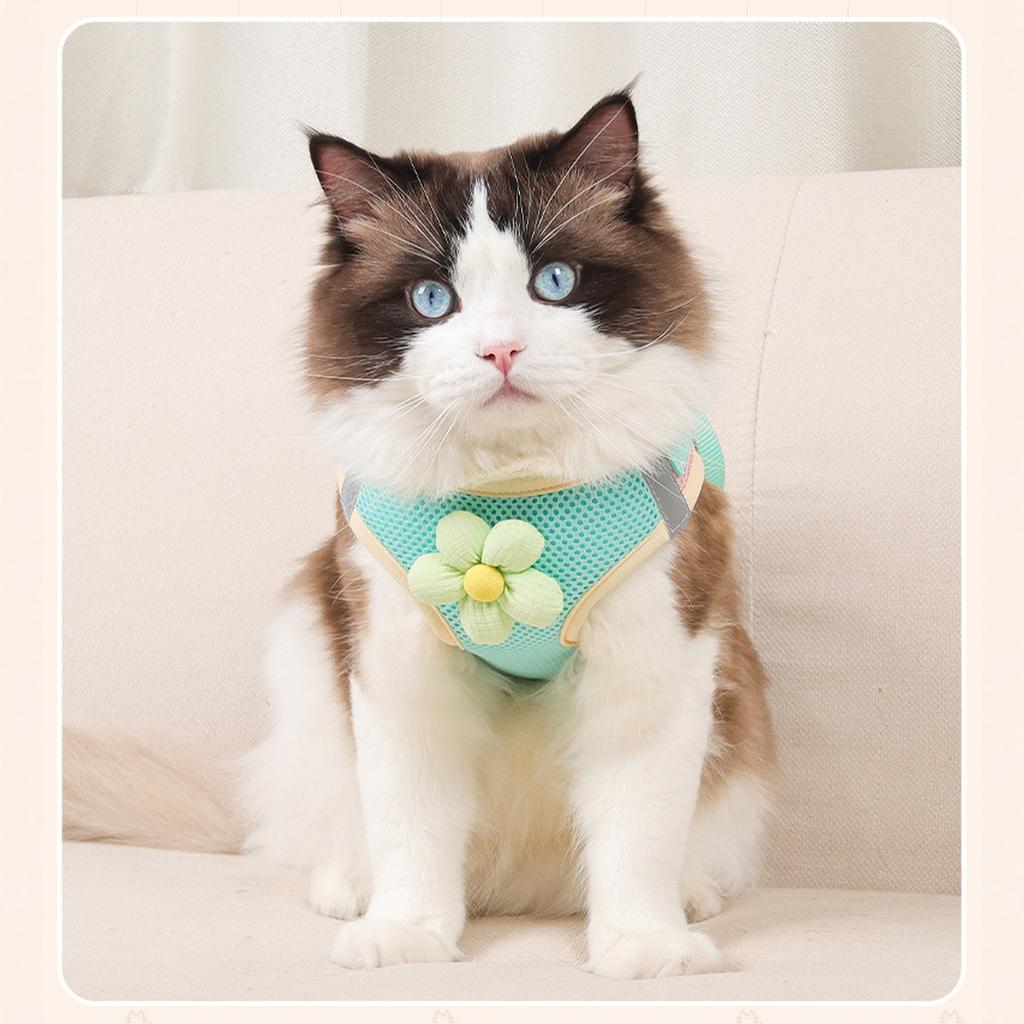 Blumennetz-Hund mit passender Leine, Leichte Haustierweste, Geeignet für kleine und mittelgroße Katzen und Hunde