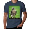 Beautiful Red Tail Hawk On A Railing Tshirt Casual Soft Cotton Short Sleeve Tee Tshirt