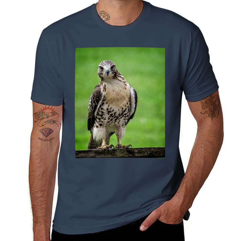 Beautiful Red Tail Hawk On A Railing Tshirt Casual Soft Cotton Short Sleeve Tee Tshirt