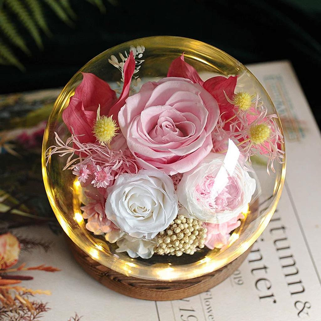 Natural Flowers Rose Dandelions Real Dried Flower for Crafts Glass Cover Home Office Decoration for Birthday Mother's Day Gifts