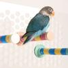 Frosted Perch Parrot Claw Grinding Rod Non-slip Wear-resistant Parrot Perching Station Bite Resistant Easy Installation