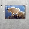 Nationalpark Glacier Lustiges Bar Metallschild Retro Plakette Vintage Schild Alkohol Trinker Kneipe Club Küchenwanddekoration