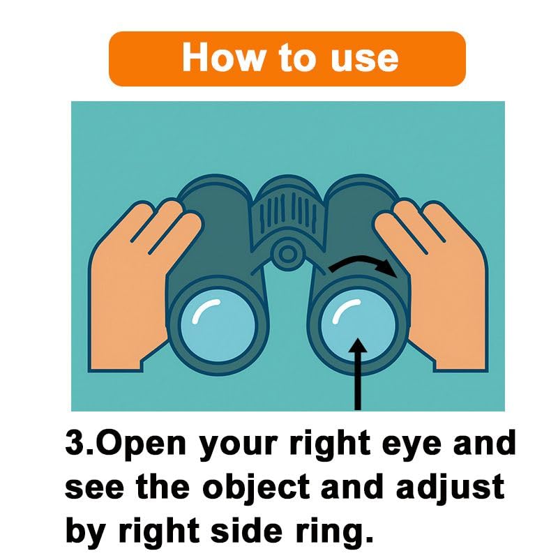 Kenko Tokina Ceres 8x Compact Binoculars C01