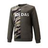 adidas Kids Series Thick Warm Casual Pullover Hoodie Children Tops Green DT2415