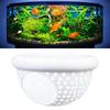 Floating Fish Feeders Rings With Hide Tube Floating Bettas Hide & Shrimp Cave Aquariums Hammocks Feeders & Resting