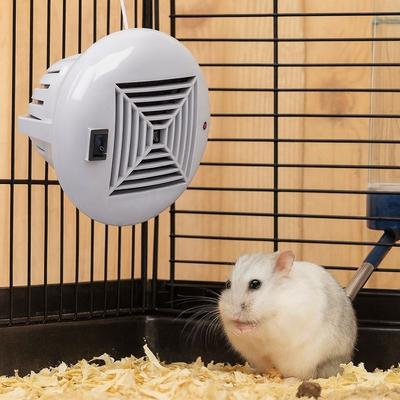 Sürüngen – Sürüngen Terraryumları