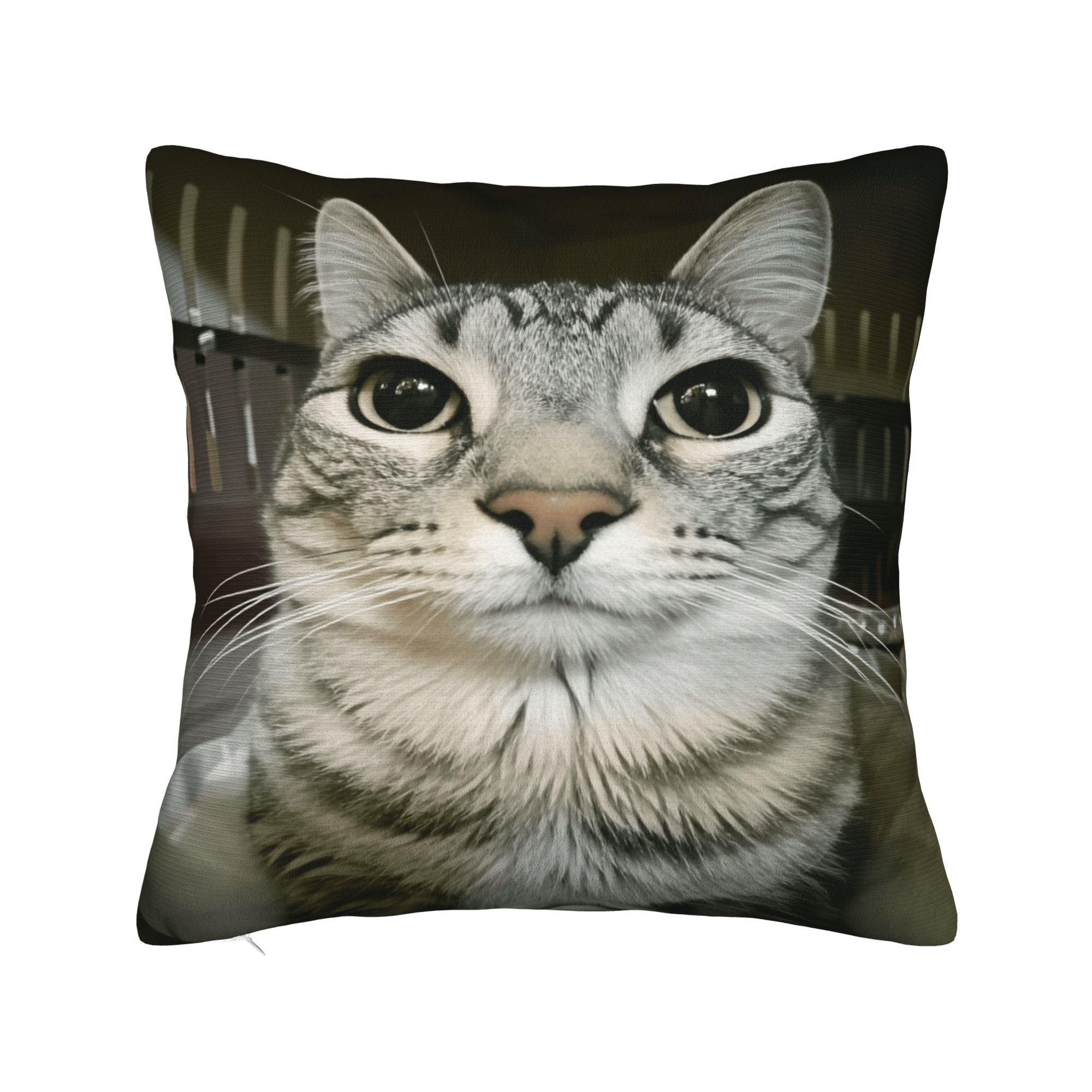 Pillow Case Pet Cat Funny memes Comfy  Pillow Cover For Sofa Car Home Decor Cute Funny Pillowcases 12x12Inch