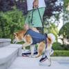 Useful Disabled Elderly Dog Exercise Assist Belt Walking Pet Rehabilitation Suit for Dogs Mascotas Auxiliary Clothing Clothes