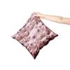 Aertemisi 18'' x 18'' Bingus Hairless Sphynx Cat Square Throw Pillow Cushion Covers Cases Pillowcases for Sofa 45cm x 45cm