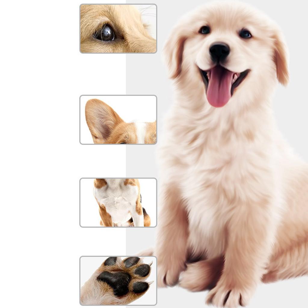 dog trimmers for face