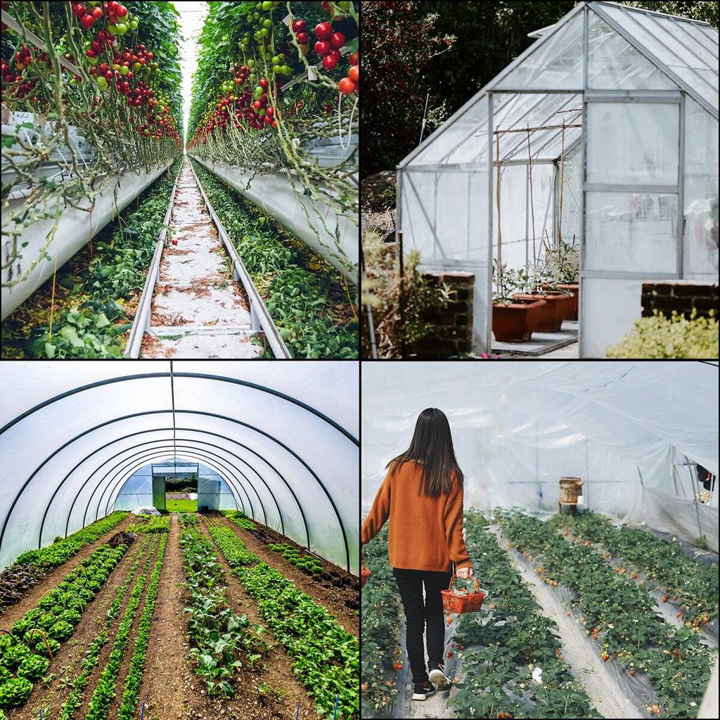 Greenhouse Film 10x25 ft,Greenhouse Polyethylene Film 6 Mil Thickness, Greenhouse Plastic Greenhouse Clear Plastic Film UV Resistant, Polyethylene