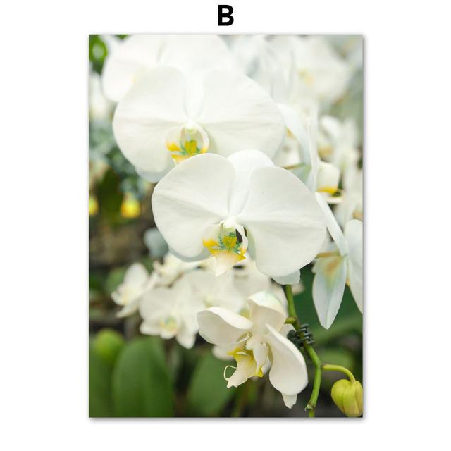 Tulip Flower Canvas Wall Art Pictures Nordic Floral Posters On The Wall Frameless Landscape Paintings for Interior No Frame