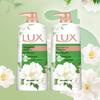 Camellia & Artemisia Scent Body Wash