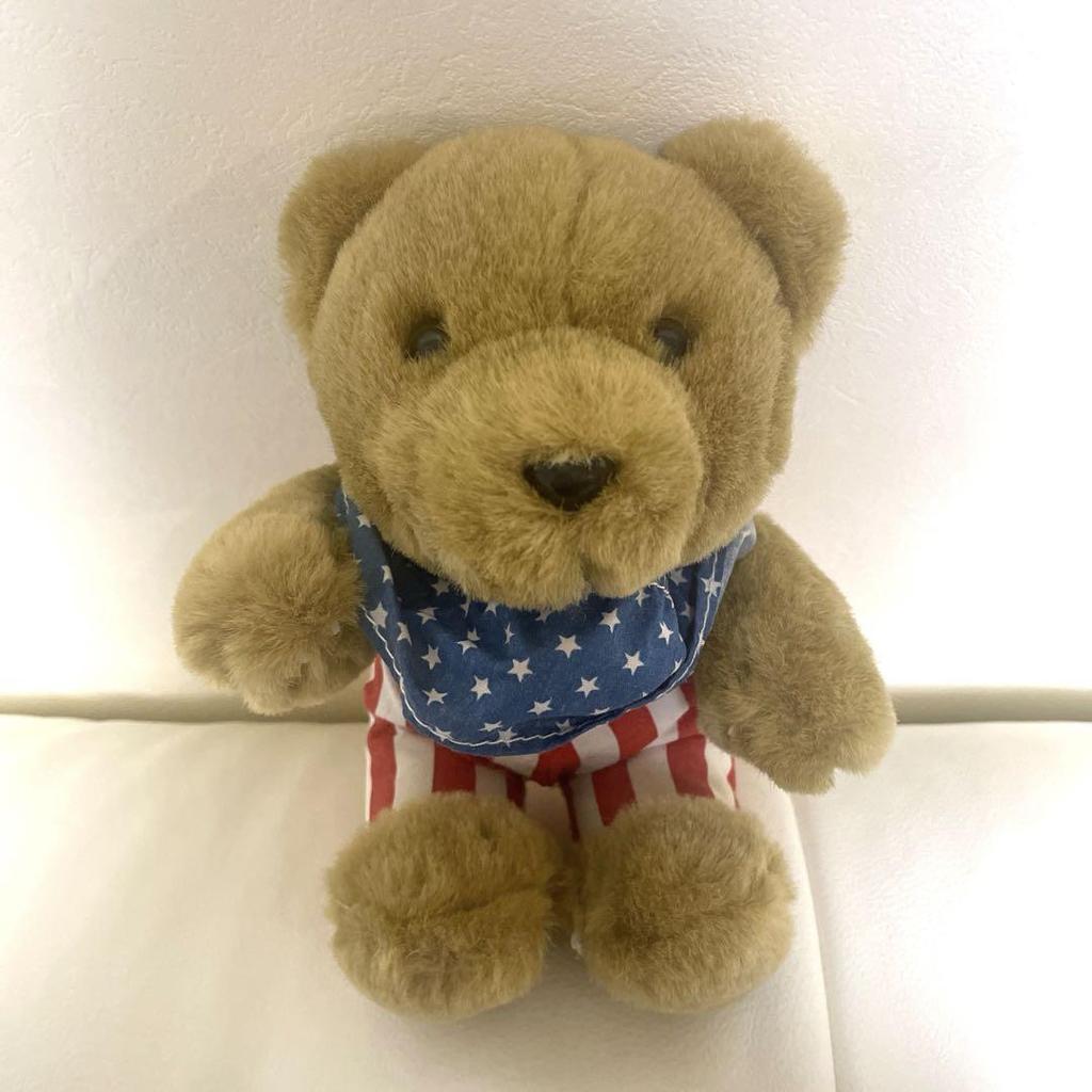 [USED] American Teddy Bear Plush Toy