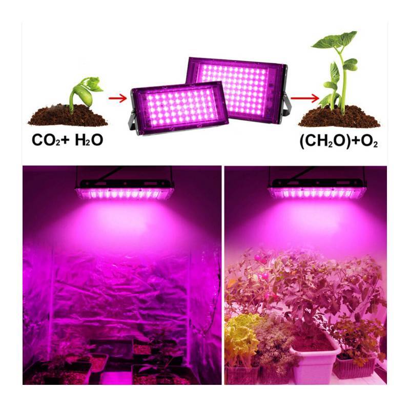 Full Spectrum Led Grow Light For Indoor Plants With High Efficiency And Waterproof Design
