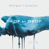 Drop by Drop by Morgan Llywelyn Paperback Book 9781250245311