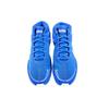 Nike Kd 13 Tb 'Game Royal' CW4115-401
