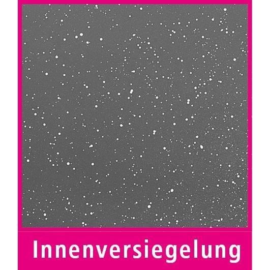 Cast Aluminum Casserole Dish - GSW - CERAMICA XL - 38 Cm - Oval - Induction