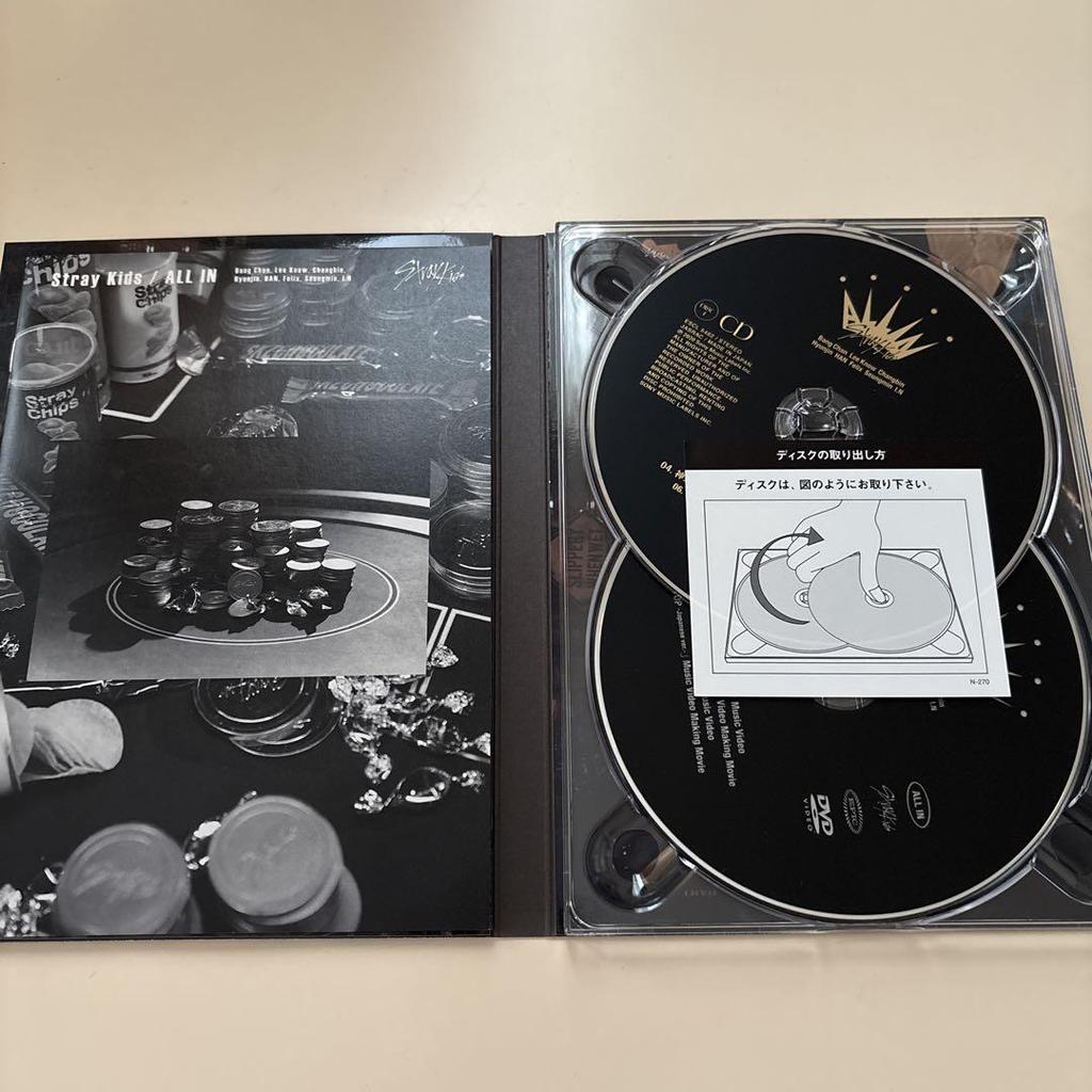 [USED] StrayKids ALLIN