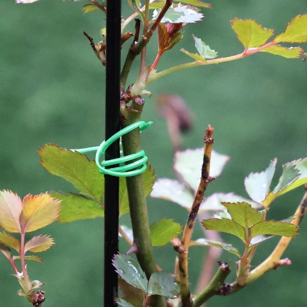 50/100/200m Garden Cable Ties Plant Twist Ties Plant Bundle Iron Wire Power Wire Loop Tape