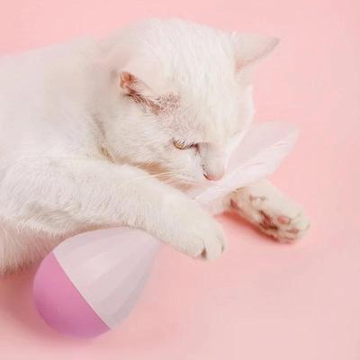 Feather Tumbler Interactive Cat Toy Pet Training Supplies Cat Dog Funny Cat Toys Pet Kitten Tumbler Fiddle with Toys