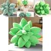 Cozy Plush Succulent Plant Stuff Toys Pillow For Adorable Home Decor And Gifts