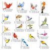 DECOWALL Beautiful Bird Window Reusable Glass Bird Collision Prevention Decals Set of 17 Birds CDS4-9003 Anti-Static Stickers, Anti-Collision -