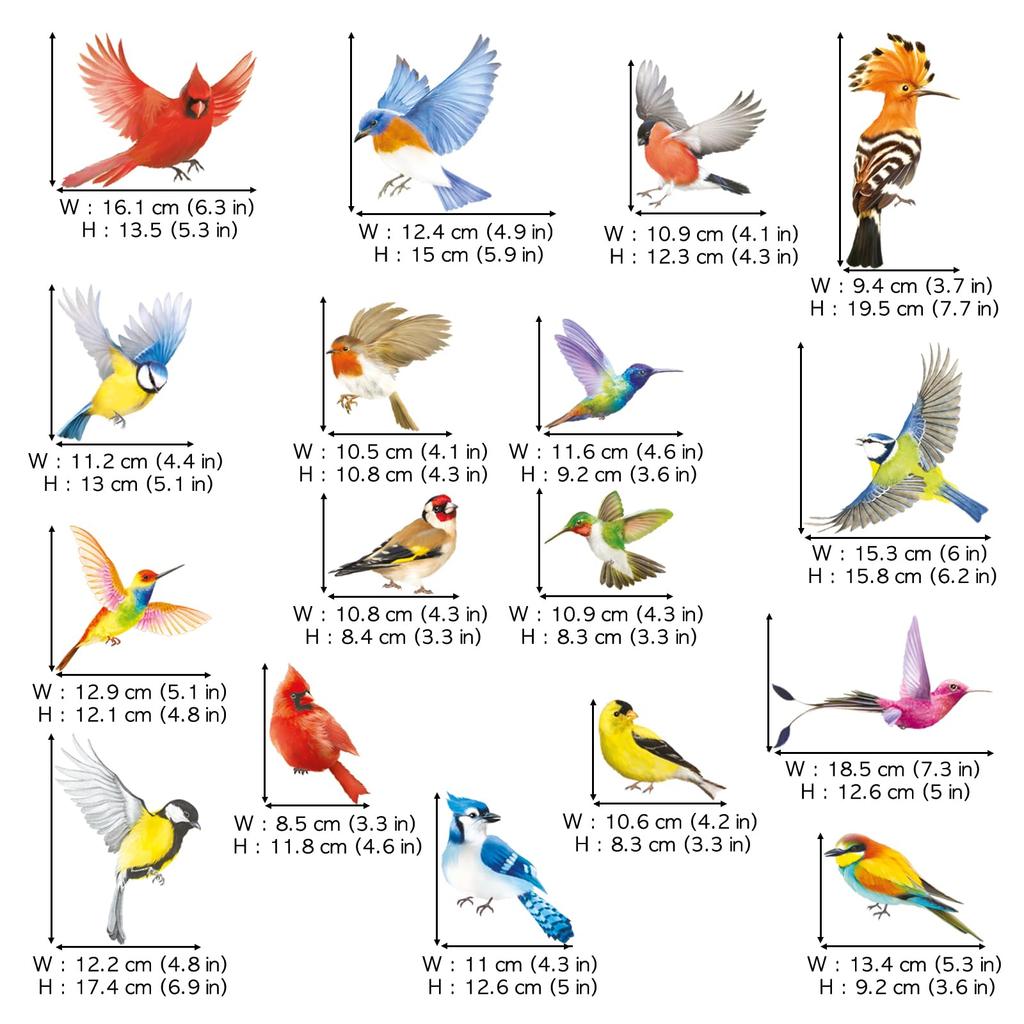 DECOWALL Beautiful Bird Window Reusable Glass Bird Collision Prevention Decals Set of 17 Birds CDS4-9003 Anti-Static Stickers, Anti-Collision -
