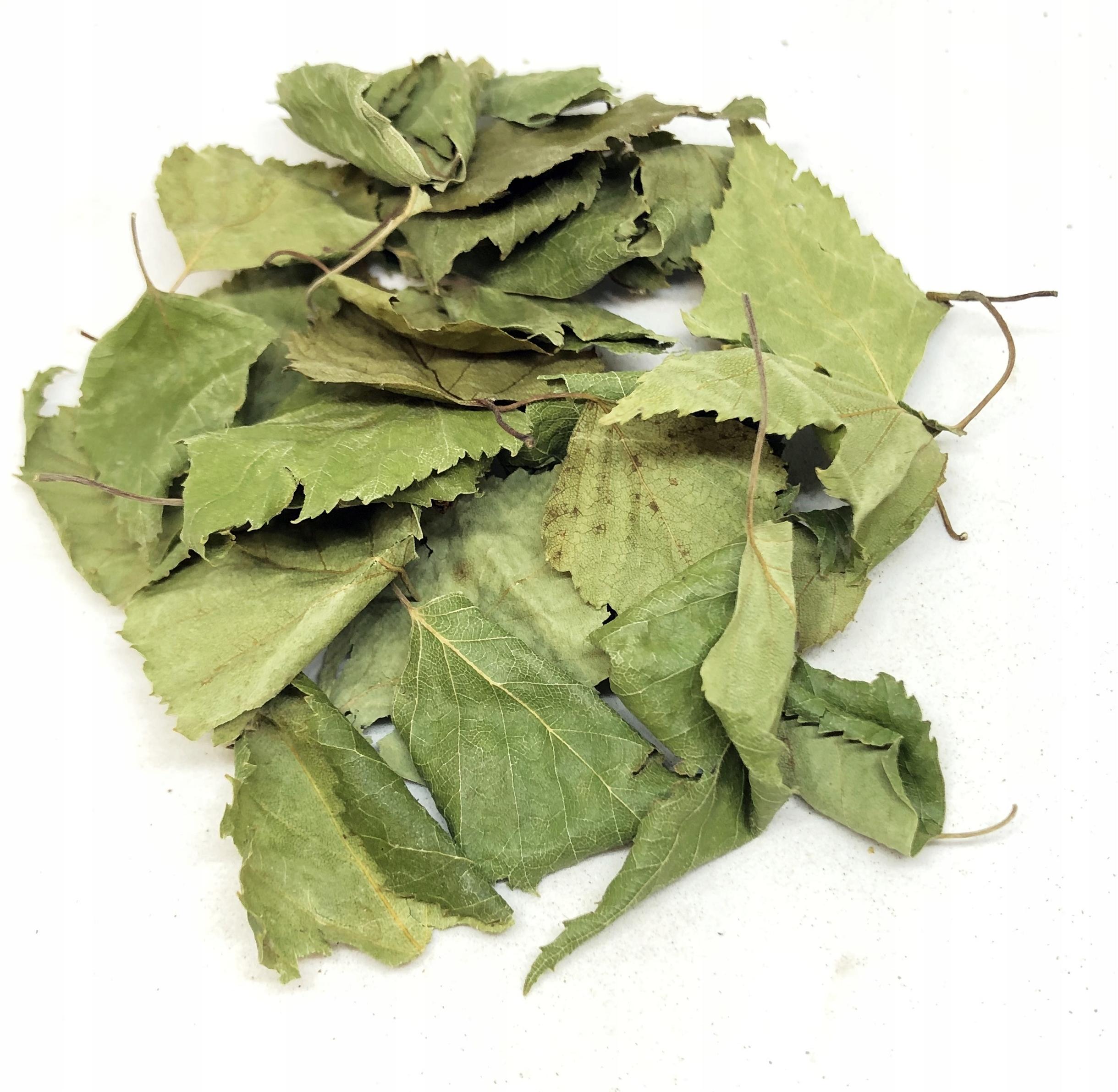 Koka mizas lapas 1 kg 100%