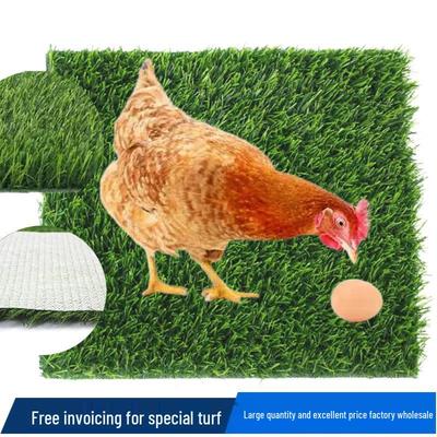 Easy-Clean TPR Chicken Coop Mat: Warm, Adhesive, Non-Shedding Carpet with White Base