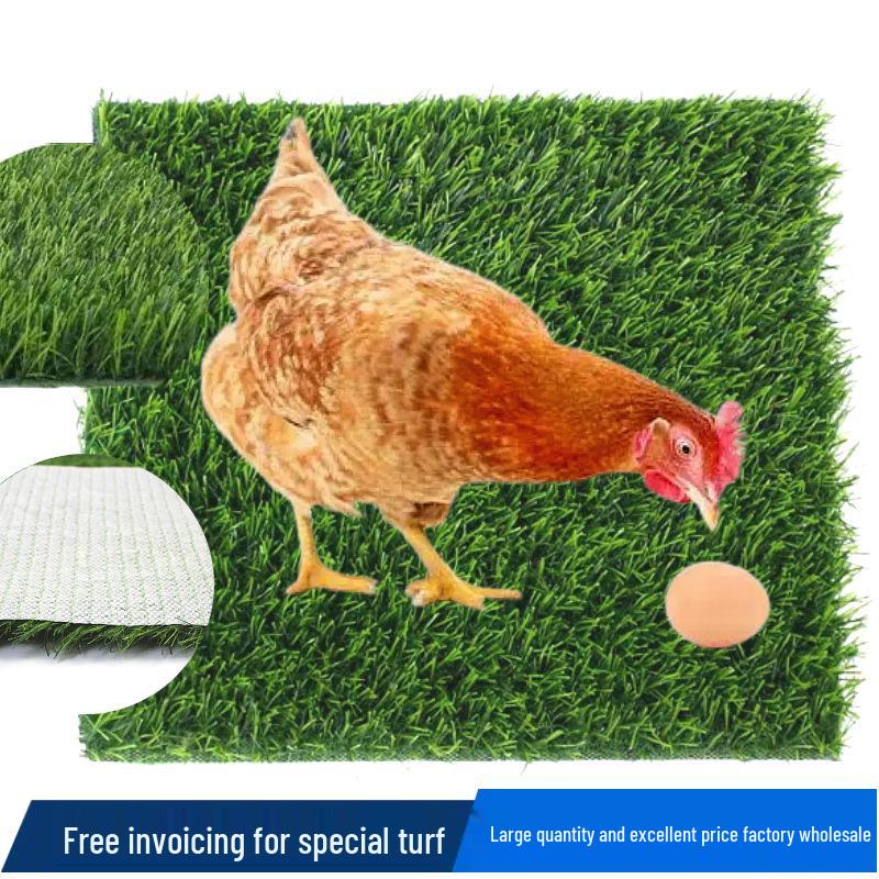 Easy-Clean TPR Chicken Coop Mat: Warm, Adhesive, Non-Shedding Carpet with White Base