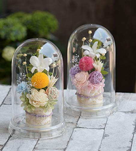 [Pretty Mermaid] Preserved Flowers, Dome, Buddhist Altar Offering, Sympathy Flower Arrangement, Chiho, Pink, Purple