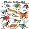 Animal Model Toys Set: Bee, Spider, Centipede, Mantis, Grasshopper, Dragonfly, Butterfly, Beetle, Scorpion, Ant.